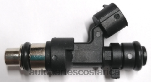 XF8F01873 Repuestos De Motos San Jose | inyector de combustible 166009hp0a NISSAN